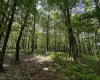 0 Camp Mountaineer Road, Morgantown, West Virginia 26508, ,Lots/land,For Sale,Camp Mountaineer,10155476