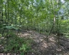 0 Camp Mountaineer Road, Morgantown, West Virginia 26508, ,Lots/land,For Sale,Camp Mountaineer,10155476