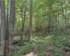 0 Camp Mountaineer Road, Morgantown, West Virginia 26508, ,Lots/land,For Sale,Camp Mountaineer,10155476