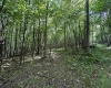 0 Camp Mountaineer Road, Morgantown, West Virginia 26508, ,Lots/land,For Sale,Camp Mountaineer,10155476