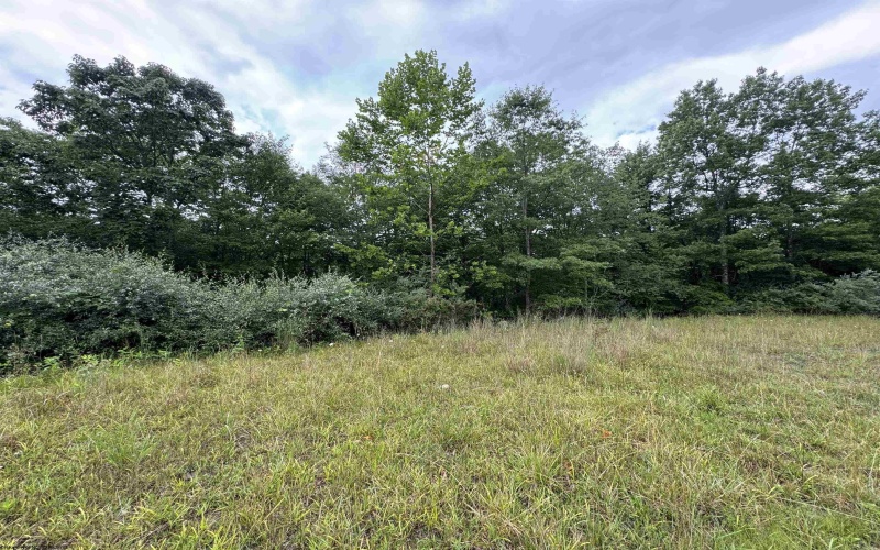 00 Camp Mountaineer Road, Morgantown, West Virginia 26508, ,Lots/land,For Sale,Camp Mountaineer,10155477