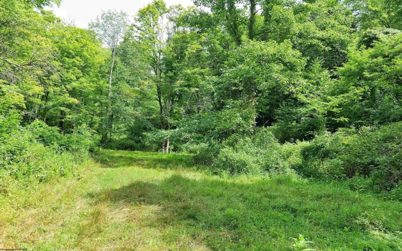 4304 Sinclair Ridge, Rowlesburg, West Virginia 26425, ,Lots/land,For Sale,Sinclair,10155492