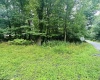 142 Dogwood Lane, Terra Alta, West Virginia 26764, ,Lots/land,For Sale,Dogwood,10155483