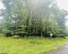 142 Dogwood Lane, Terra Alta, West Virginia 26764, ,Lots/land,For Sale,Dogwood,10155483