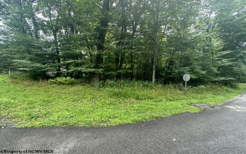 142 Dogwood Lane, Terra Alta, West Virginia 26764, ,Lots/land,For Sale,Dogwood,10155483