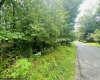 142 Dogwood Lane, Terra Alta, West Virginia 26764, ,Lots/land,For Sale,Dogwood,10155483