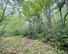 122/123 Redwood Drive, Terra Alta, West Virginia 26764, ,Lots/land,For Sale,Redwood,10155487