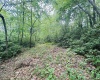 122/123 Redwood Drive, Terra Alta, West Virginia 26764, ,Lots/land,For Sale,Redwood,10155487