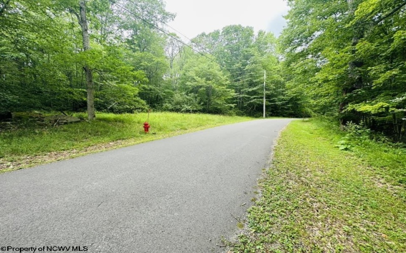 122/123 Redwood Drive, Terra Alta, West Virginia 26764, ,Lots/land,For Sale,Redwood,10155487