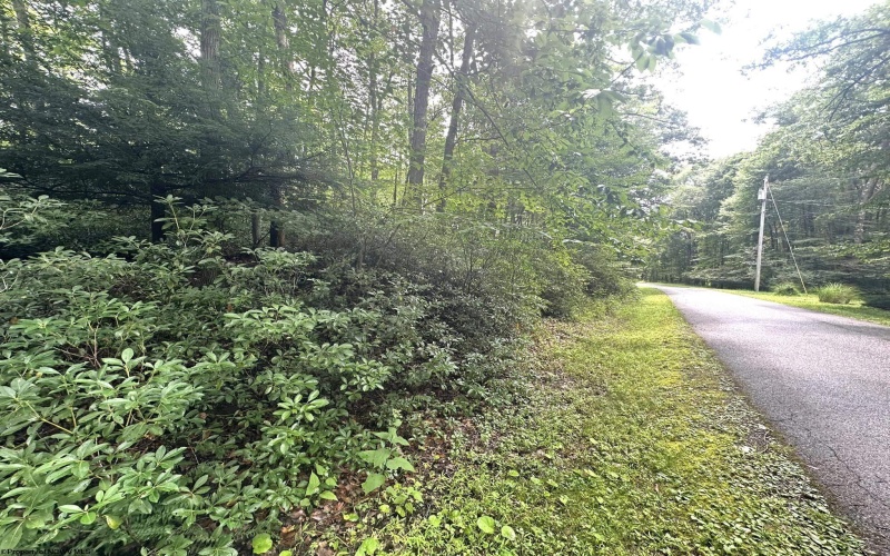 5 & 6 Dogwood Lane, Terra Alta, West Virginia 26764-3063, ,Lots/land,For Sale,Dogwood,10155509