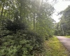 5 & 6 Dogwood Lane, Terra Alta, West Virginia 26764-3063, ,Lots/land,For Sale,Dogwood,10155509