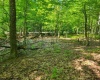 Lot 195 Columbine Circle, Terra Alta, West Virginia 26764, ,Lots/land,For Sale,Columbine,10155496