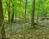 Lot 195 Columbine Circle, Terra Alta, West Virginia 26764, ,Lots/land,For Sale,Columbine,10155496