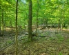 Lot 195 Columbine Circle, Terra Alta, West Virginia 26764, ,Lots/land,For Sale,Columbine,10155496