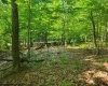 Lot 195 Columbine Circle, Terra Alta, West Virginia 26764, ,Lots/land,For Sale,Columbine,10155496