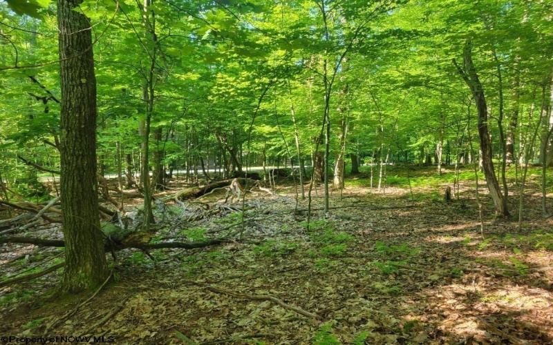 Lot 195 Columbine Circle, Terra Alta, West Virginia 26764, ,Lots/land,For Sale,Columbine,10155496