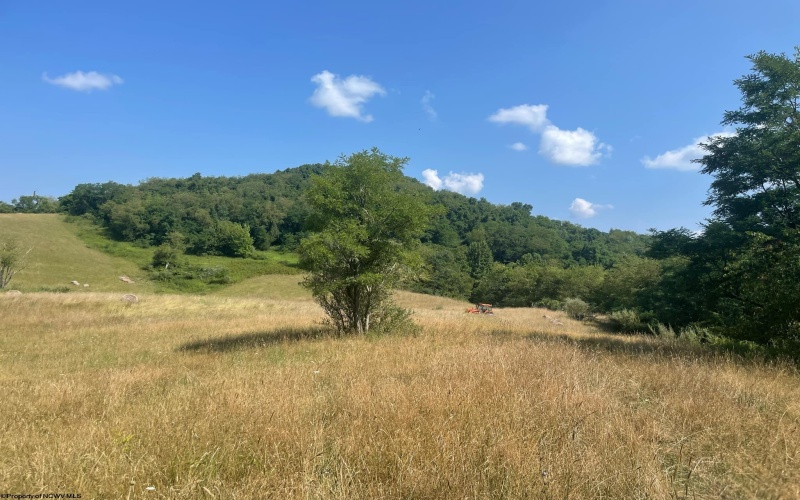 TBD Morgantown Pike, Philippi, West Virginia 26416, ,Lots/land,For Sale,Morgantown,10155497