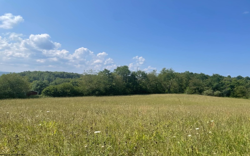 TBD Morgantown Pike, Philippi, West Virginia 26416, ,Lots/land,For Sale,Morgantown,10155497