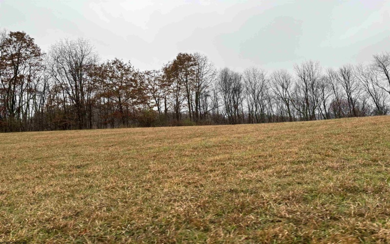 TBD Morgantown Pike, Philippi, West Virginia 26416, ,Lots/land,For Sale,Morgantown,10155497