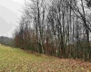 TBD Morgantown Pike, Philippi, West Virginia 26416, ,Lots/land,For Sale,Morgantown,10155497