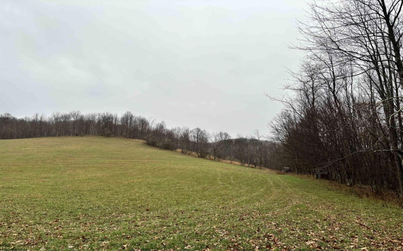 TBD Morgantown Pike, Philippi, West Virginia 26416, ,Lots/land,For Sale,Morgantown,10155497