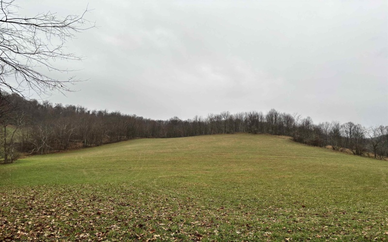 TBD Morgantown Pike, Philippi, West Virginia 26416, ,Lots/land,For Sale,Morgantown,10155497