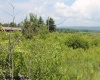 A Bensland Road, Davis, West Virginia 26260, ,Lots/land,For Sale,Bensland,10155520