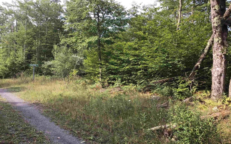 Lot 332 Piza Place, Davis, West Virginia 26260, ,Lots/land,For Sale,Piza,10155518