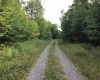 Lot 332 Piza Place, Davis, West Virginia 26260, ,Lots/land,For Sale,Piza,10155518