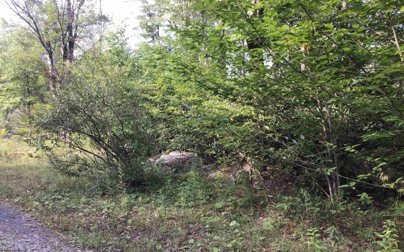 Lot 332 Piza Place, Davis, West Virginia 26260, ,Lots/land,For Sale,Piza,10155518