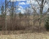 TBA Dryfork Road, Dryfork, West Virginia 26263, ,Lots/land,For Sale,Dryfork,10155546