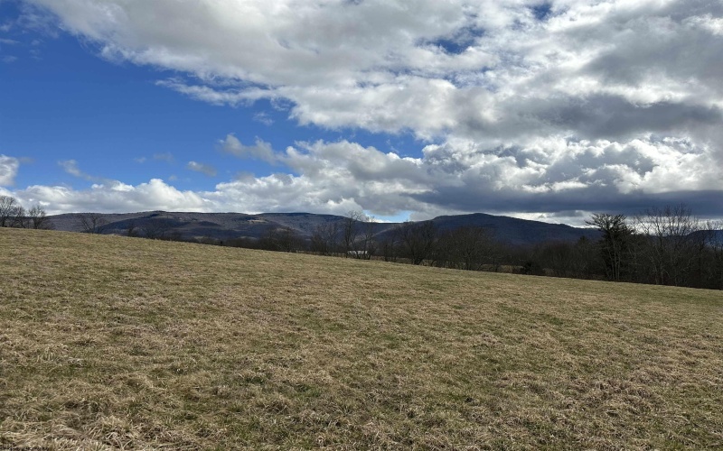 TBA Dryfork Road, Dryfork, West Virginia 26263, ,Lots/land,For Sale,Dryfork,10155546