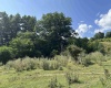 TBD Dryfork Road, Dryfork, West Virginia 26263, ,Lots/land,For Sale,Dryfork,10155545