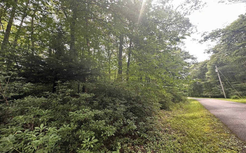 132 Dogwood Lane, Terra Alta, West Virginia 26764, ,Lots/land,For Sale,Dogwood,10155526