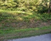 1024 Mount Lebanon Road, Buckhannon, West Virginia 26201, ,Lots/land,For Sale,Mount Lebanon,10155534