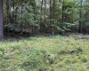 Lot 98 Goldenrod Drive, Terra Alta, West Virginia 26764, ,Lots/land,For Sale,Goldenrod,10155591