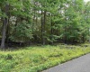 Lot 98 Goldenrod Drive, Terra Alta, West Virginia 26764, ,Lots/land,For Sale,Goldenrod,10155591