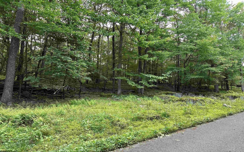 Lot 98 Goldenrod Drive, Terra Alta, West Virginia 26764, ,Lots/land,For Sale,Goldenrod,10155591