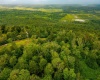 Lot 8 Canaan Heights Estates Road, Davis, West Virginia 26260, ,Lots/land,For Sale,Canaan Heights Estates,10150344