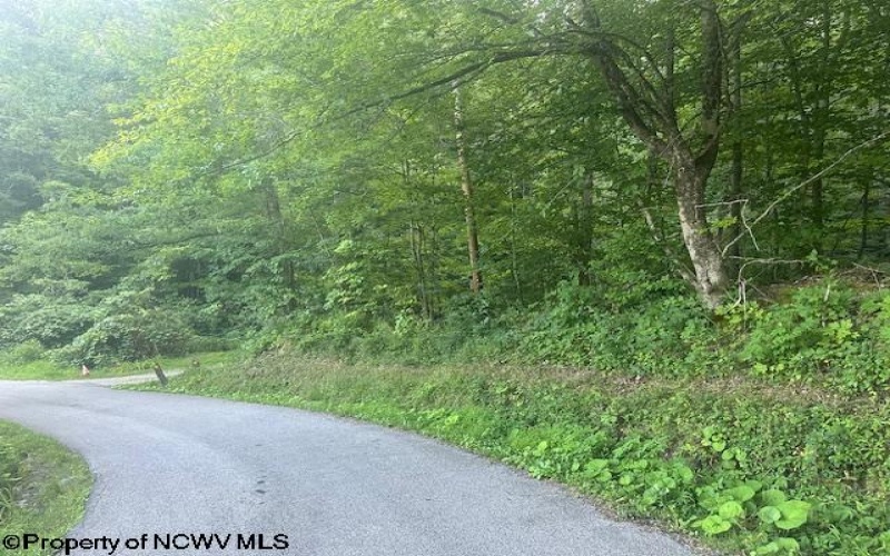 TBD Creed Isner Road, Kerens, West Virginia 26276, ,Lots/land,For Sale,Creed Isner,10155641