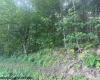 TBD Creed Isner Road, Kerens, West Virginia 26276, ,Lots/land,For Sale,Creed Isner,10155641