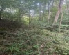 TBD Creed Isner Road, Kerens, West Virginia 26276, ,Lots/land,For Sale,Creed Isner,10155641