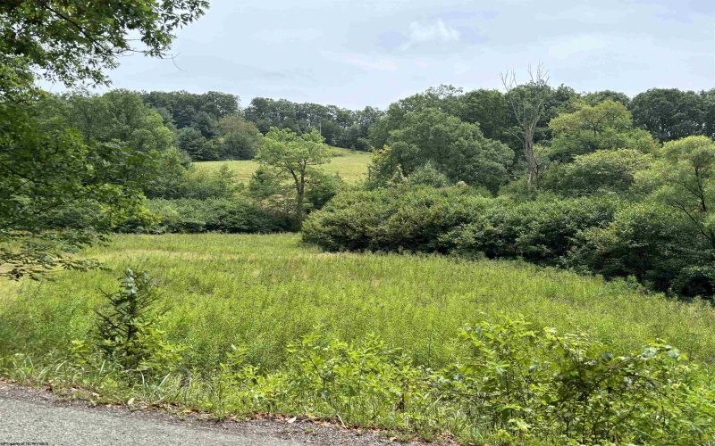 TBD Clover Run, Montrose, West Virginia 26283, ,Lots/land,For Sale,Clover,10155645