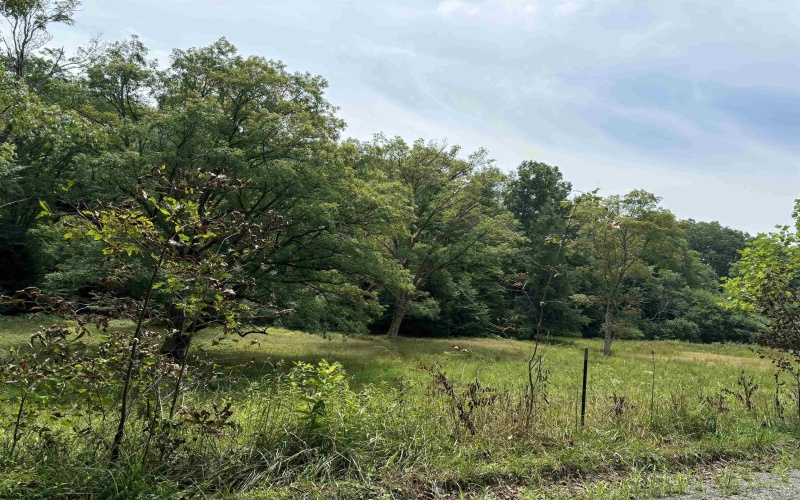 TBD Clover Run, Montrose, West Virginia 26283, ,Lots/land,For Sale,Clover,10155645