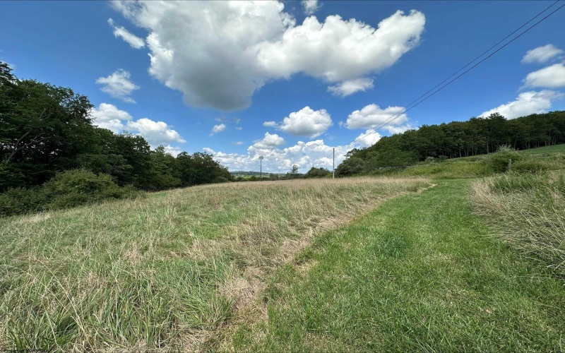 TBD Cuzzart Road, Bruceton Mills, West Virginia 26525, ,Lots/land,For Sale,Cuzzart,10155670