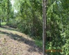 000 Hawk's View Lane, Napier, West Virginia 26631, ,Lots/land,For Sale,Hawk's View,10155689