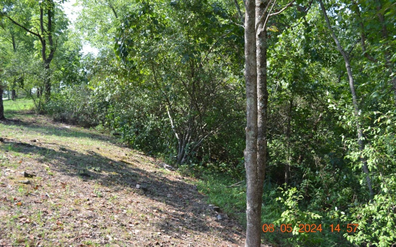 000 Hawk's View Lane, Napier, West Virginia 26631, ,Lots/land,For Sale,Hawk's View,10155689