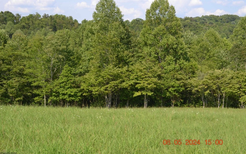 000 Hawk's View Lane, Napier, West Virginia 26631, ,Lots/land,For Sale,Hawk's View,10155690