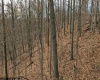 TBD Creed Road, Fairmont, West Virginia 26585, ,Lots/land,For Sale,Creed,10155703