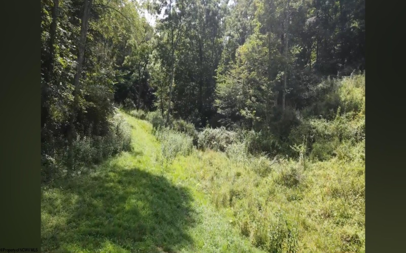 TBD Earl Run (6.1) Road, Metz, West Virginia 26585, ,Lots/land,For Sale,Earl Run (6.1),10155704